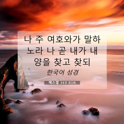Picture 07 - 에스겔 34:11 KOR - 나 주 여호와가 말하노라 나 곧 내가 - Bible Verse Picture