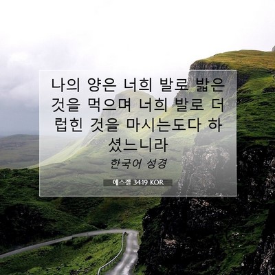 Picture 07 - 에스겔 34:19 KOR - 나의 양은 너희 발로 밟은 것을 - Bible Verse Picture