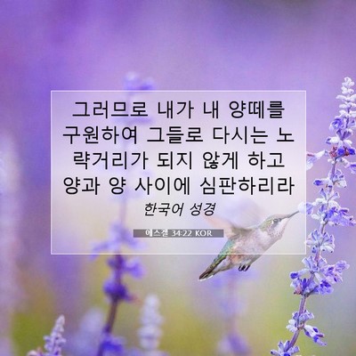 Picture 07 - 에스겔 34:22 KOR - 그러므로 내가 내 양떼를 구원하여 - Bible Verse Picture
