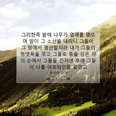 Picture 07 - 에스겔 34:27 KOR - 그리한즉 밭에 나무가 열매를 맺으며 - Bible Verse Picture