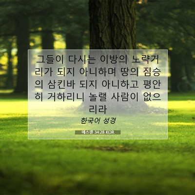Picture 07 - 에스겔 34:28 KOR - 그들이 다시는 이방의 노략거리가 - Bible Verse Picture