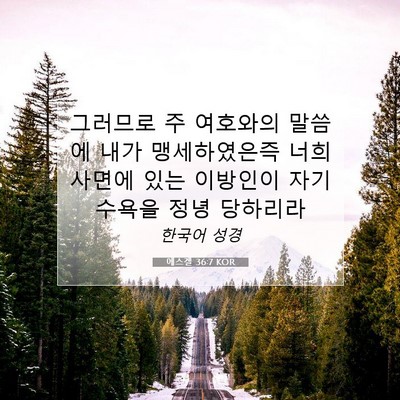 Picture 07 - 에스겔 36:7 KOR - 그러므로 주 여호와의 말씀에 내가 - Bible Verse Picture