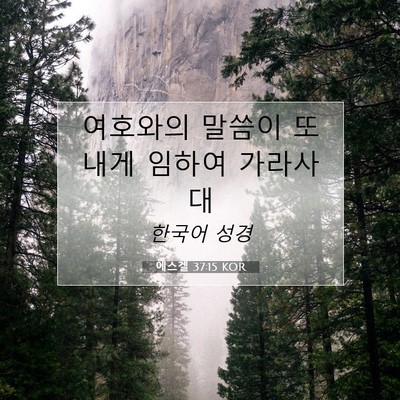 Picture 07 - 에스겔 37:15 KOR - 여호와의 말씀이 또 내게 임하여 - Bible Verse Picture