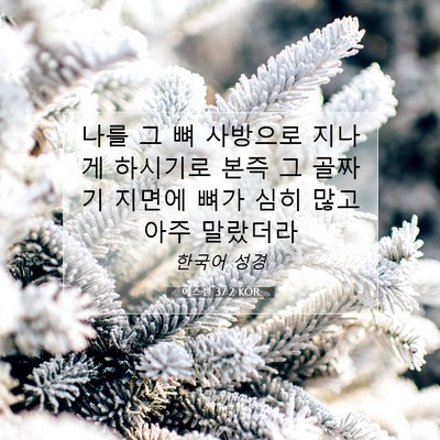 Picture 07 - 에스겔 37:2 KOR - 나를 그 뼈 사방으로 지나게 - Bible Verse Picture