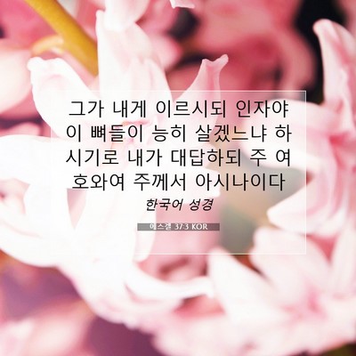 Picture 07 - 에스겔 37:3 KOR - 그가 내게 이르시되 인자야 이 - Bible Verse Picture