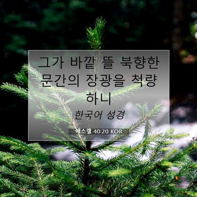 Picture 07 - 에스겔 40:20 KOR - 그가 바깥 뜰 북향한 문간의 장광을 - Bible Verse Picture