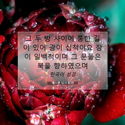 Picture 07 - 에스겔 42:4 KOR - 그 두 방 사이에 통한 길이 있어 광이 - Bible Verse Picture