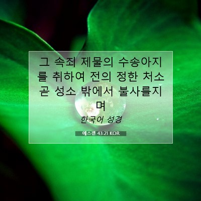 Picture 07 - 에스겔 43:21 KOR - 그 속죄 제물의 수송아지를 취하여 - Bible Verse Picture