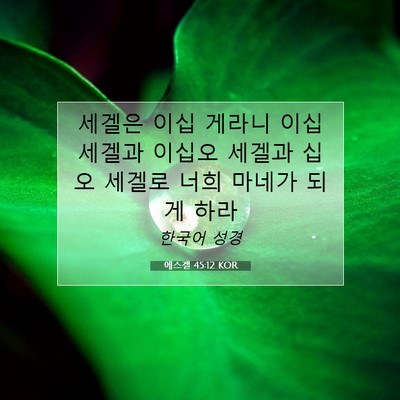 Picture 07 - 에스겔 45:12 KOR - 세겔은 이십 게라니 이십 세겔과 - Bible Verse Picture