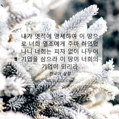 Picture 07 - 에스겔 47:14 KOR - 내가 옛적에 맹세하여 이 땅으로 - Bible Verse Picture