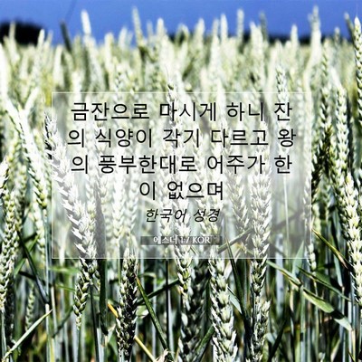 Picture 07 - 에스더 1:7 KOR - 금잔으로 마시게 하니 잔의 식양이 - Bible Verse Picture