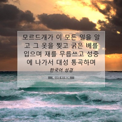 Picture 07 - 에스더 4:1 KOR - 모르드개가 이 모든 일을 알고 그 - Bible Verse Picture