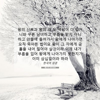 Picture 07 - 에스더 4:11 KOR - 왕의 신복과 왕의 각 도 백성이 다 - Bible Verse Picture