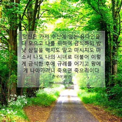 Picture 07 - 에스더 4:16 KOR - 당신은 가서 수산에 있는 유다인을 - Bible Verse Picture
