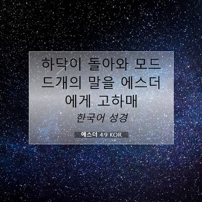 Picture 07 - 에스더 4:9 KOR - 하닥이 돌아와 모드드개의 말을 - Bible Verse Picture