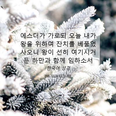 Picture 07 - 에스더 5:4 KOR - 에스더가 가로되 오늘 내가 왕을 - Bible Verse Picture
