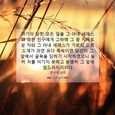 Picture 07 - 에스더 6:13 KOR - 자기의 당한 모든 일을 그 아내 - Bible Verse Picture