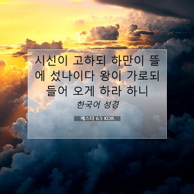 Picture 07 - 에스더 6:5 KOR - 시신이 고하되 하만이 뜰에 섰나이다 - Bible Verse Picture
