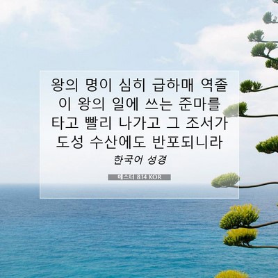 Picture 07 - 에스더 8:14 KOR - 왕의 명이 심히 급하매 역졸이 왕의 - Bible Verse Picture