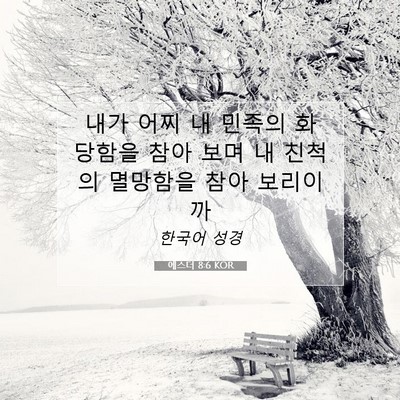 Picture 07 - 에스더 8:6 KOR - 내가 어찌 내 민족의 화 당함을 참아 - Bible Verse Picture