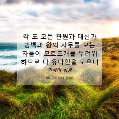 Picture 07 - 에스더 9:3 KOR - 각 도 모든 관원과 대신과 방백과 - Bible Verse Picture