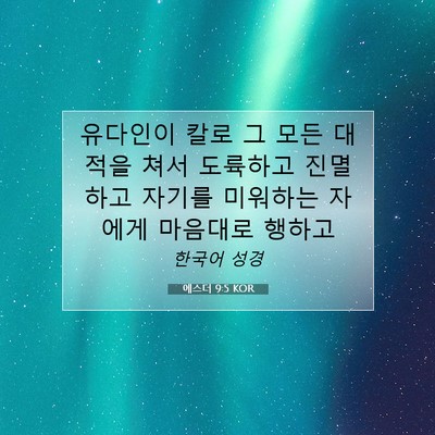 Picture 07 - 에스더 9:5 KOR - 유다인이 칼로 그 모든 대적을 쳐서 - Bible Verse Picture