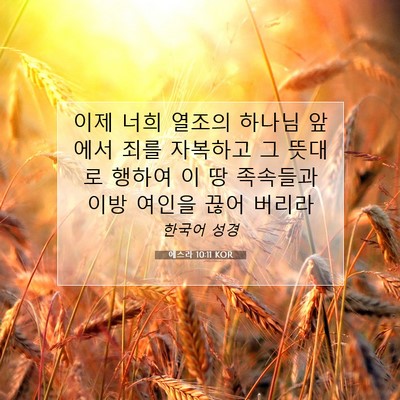 Picture 07 - 에스라 10:11 KOR - 이제 너희 열조의 하나님 앞에서 - Bible Verse Picture