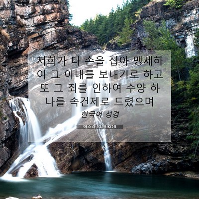 Picture 07 - 에스라 10:19 KOR - 저희가 다 손을 잡아 맹세하여 그 - Bible Verse Picture