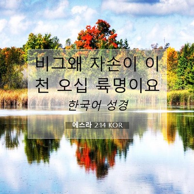 Picture 07 - 에스라 2:14 KOR - 비그왜 자손이 이천 오십 - Bible Verse Picture