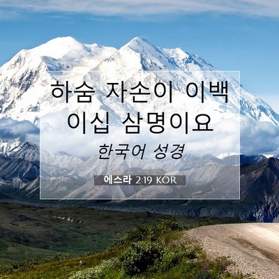 Picture 07 - 에스라 2:19 KOR - 하숨 자손이 이백 이십 - Bible Verse Picture