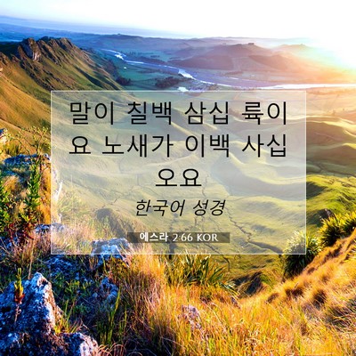 Picture 07 - 에스라 2:66 KOR - 말이 칠백 삼십 륙이요 노새가 이백 - Bible Verse Picture