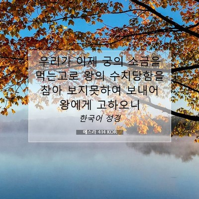 Picture 07 - 에스라 4:14 KOR - 우리가 이제 궁의 소금을 먹는고로 - Bible Verse Picture