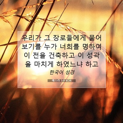 Picture 07 - 에스라 5:9 KOR - 우리가 그 장로들에게 물어 보기를 - Bible Verse Picture