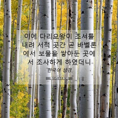 Picture 07 - 에스라 6:1 KOR - 이에 다리오왕이 조서를 내려 서적 - Bible Verse Picture