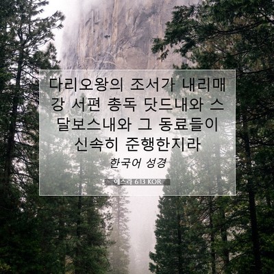 Picture 07 - 에스라 6:13 KOR - 다리오왕의 조서가 내리매 강 서편 - Bible Verse Picture