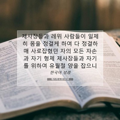 Picture 07 - 에스라 6:20 KOR - 제사장들과 레위 사람들이 일제히 - Bible Verse Picture