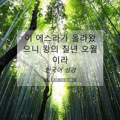 Picture 07 - 에스라 7:8 KOR - 이 에스라가 올라왔으니 왕의 칠년 - Bible Verse Picture
