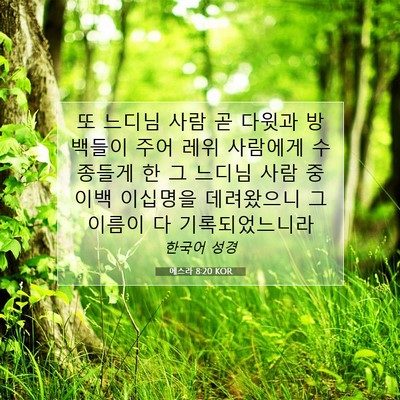 Picture 07 - 에스라 8:20 KOR - 또 느디님 사람 곧 다윗과 방백들이 - Bible Verse Picture