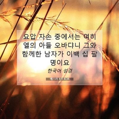 Picture 07 - 에스라 8:9 KOR - 요압 자손 중에서는 여히엘의 아들 - Bible Verse Picture
