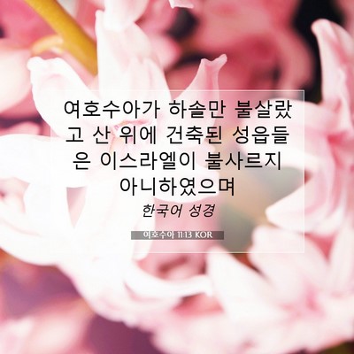 Picture 07 - 여호수아 11:13 KOR - 여호수아가 하솔만 불살랐고 산 위에 - Bible Verse Picture