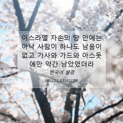 Picture 07 - 여호수아 11:22 KOR - 이스라엘 자손의 땅 안에는 아낙 - Bible Verse Picture