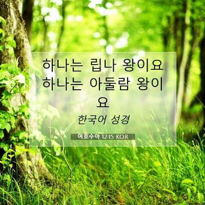 Picture 07 - 여호수아 12:15 KOR - 하나는 립나 왕이요 하나는 아둘람 - Bible Verse Picture