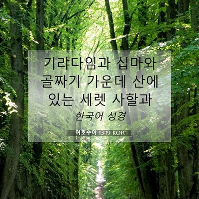 Picture 07 - 여호수아 13:19 KOR - 기랴다임과 십마와 골짜기 가운데 - Bible Verse Picture
