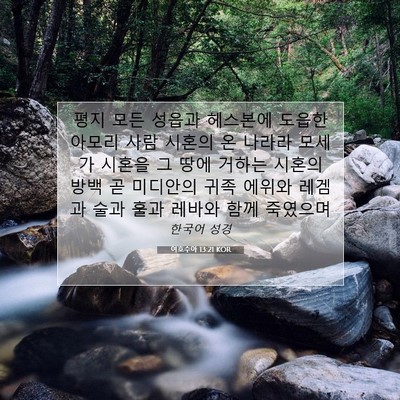 Picture 07 - 여호수아 13:21 KOR - 평지 모든 성읍과 헤스본에 도읍한 - Bible Verse Picture