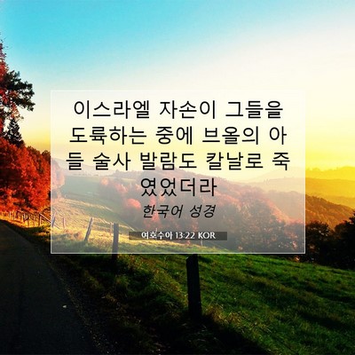 Picture 07 - 여호수아 13:22 KOR - 이스라엘 자손이 그들을 도륙하는 - Bible Verse Picture