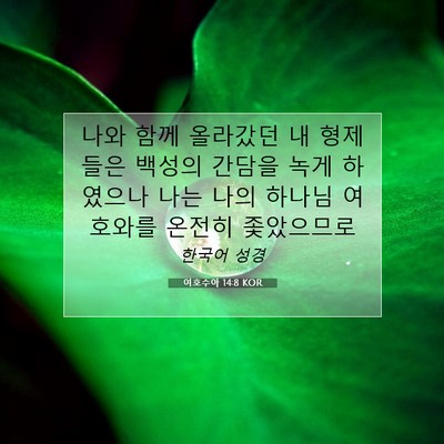 Picture 07 - 여호수아 14:8 KOR - 나와 함께 올라갔던 내 형제들은 - Bible Verse Picture
