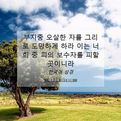 Picture 07 - 여호수아 20:3 KOR - 부지중 오살한 자를 그리로 도망하게 - Bible Verse Picture