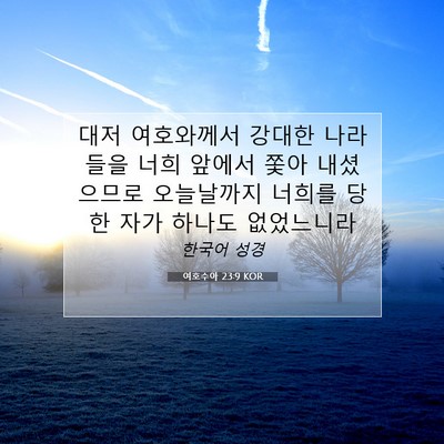 Picture 07 - 여호수아 23:9 KOR - 대저 여호와께서 강대한 나라들을 - Bible Verse Picture