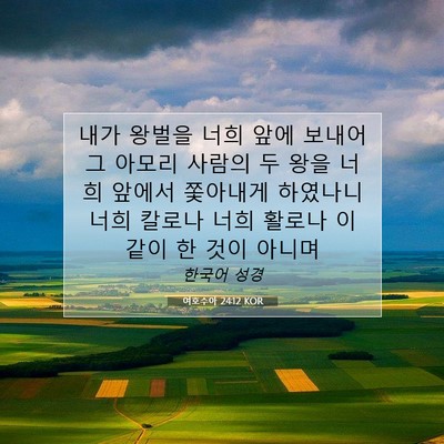 Picture 07 - 여호수아 24:12 KOR - 내가 왕벌을 너희 앞에 보내어 그 - Bible Verse Picture