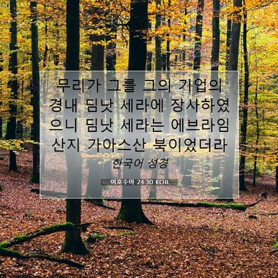 Picture 07 - 여호수아 24:30 KOR - 무리가 그를 그의 기업의 경내 딤낫 - Bible Verse Picture